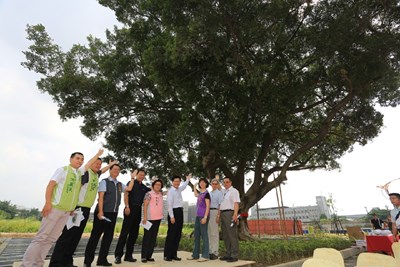 市府變更工程設計原地保留百年榕樹 融入文化價值將成為建國市場新地標