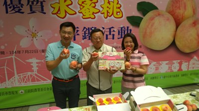 梨山水蜜桃白鴿設計新包裝亮相 北上板橋區農會行銷