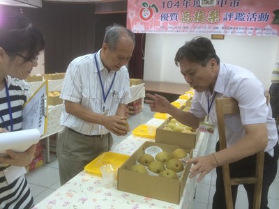 優質高接梨評鑑出爐     黃政乾榮獲高接梨達人