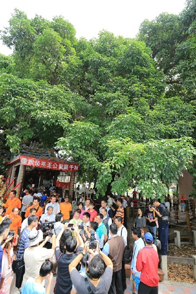 千年茄苳樹王公契子大團圓 林市長感謝王公守護地方