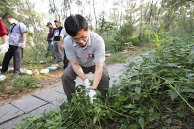 大肚山爬山除蔓 林市長呼籲共同清除植物殺手