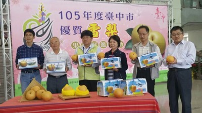 台中市優質雪梨果品評鑑結果出爐 陳煌明榮獲本年度雪梨達人