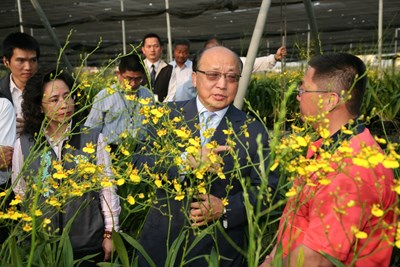 胡市長關懷本市文心蘭產業受日本311地震及海嘯影響拜訪花農