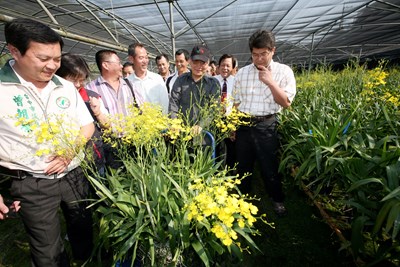 胡市長關懷本市文心蘭產業受日本311地震及海嘯影響拜訪花農