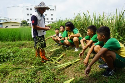 中市深耕食農教育 外埔區小學結合花博元素推廣(2)