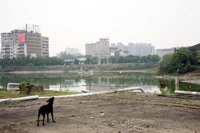 勘察東區臺糖大型購物中心用地都市計畫變更暨建國市場遷建案