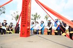 TSAI2050