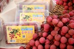 「台中美荔」上市記者會