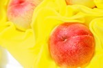 「水蜜桃的故鄉在梨山-2020梨山森活節」宣傳記者會