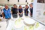 台中巨蛋體育館競圖成果展開幕式