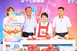 TSAI6286