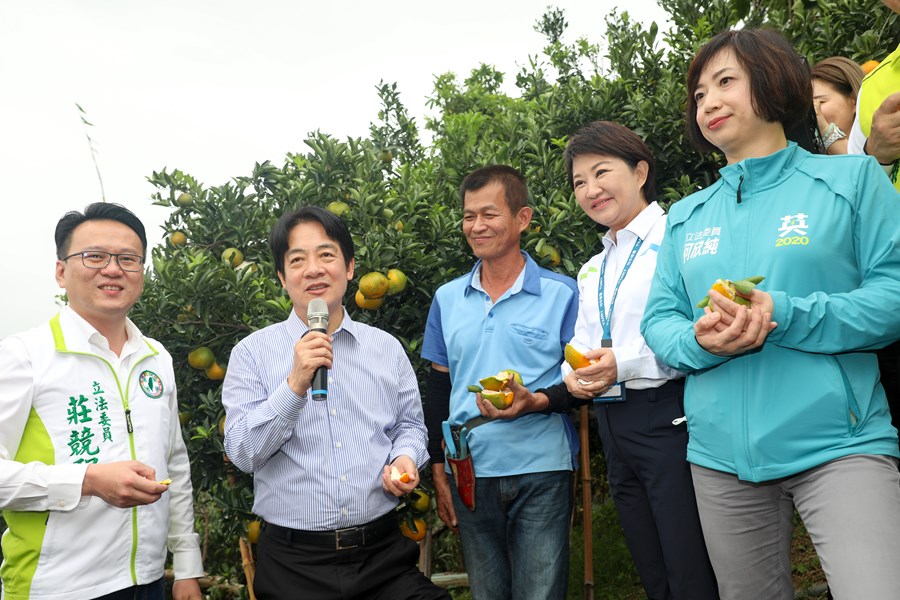 盧市長陪同賴副總統至台中大坑採橘子行銷台中桔果