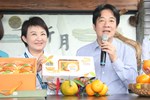 盧市長陪同賴副總統至台中大坑採橘子行銷台中桔果