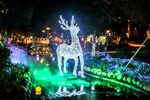 綠川景觀段（成功路─台灣大道─中山路）打造耶誕魔法森林，魔法森林不可缺少的就是魔法神獸，森林裡的主角燈飾「神秘白馴鹿」高達4公尺，傳說看見白馴鹿就會心想事成，搭配水霧鐳射燈光，營造夢幻情境，彷彿置身魔法世界。