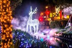綠川景觀段（成功路─台灣大道─中山路）打造耶誕魔法森林，魔法森林不可缺少的就是魔法神獸，森林裡的主角燈飾「神秘白馴鹿」高達4公尺，傳說看見白馴鹿就會心想事成，搭配水霧鐳射燈光，營造夢幻情境，彷彿置身魔法世界。