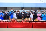TSAI0317