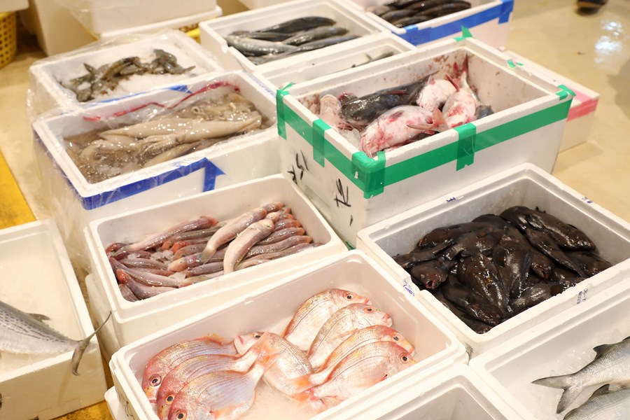 台中魚市場