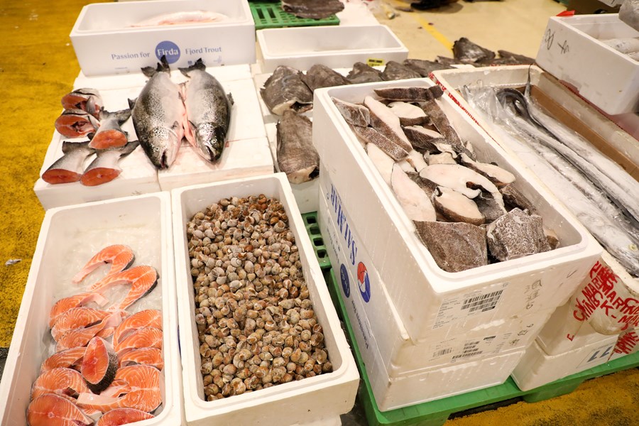 台中魚市場