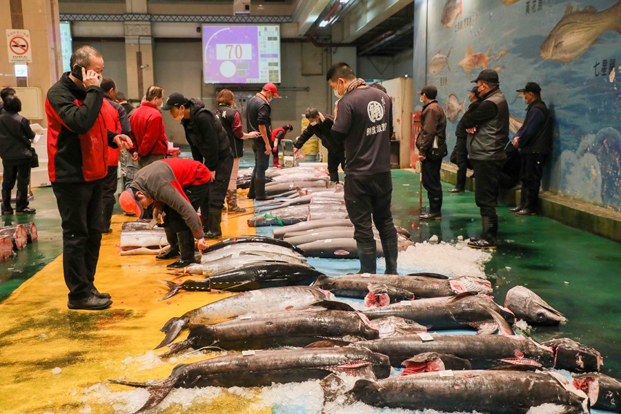 台中魚市場