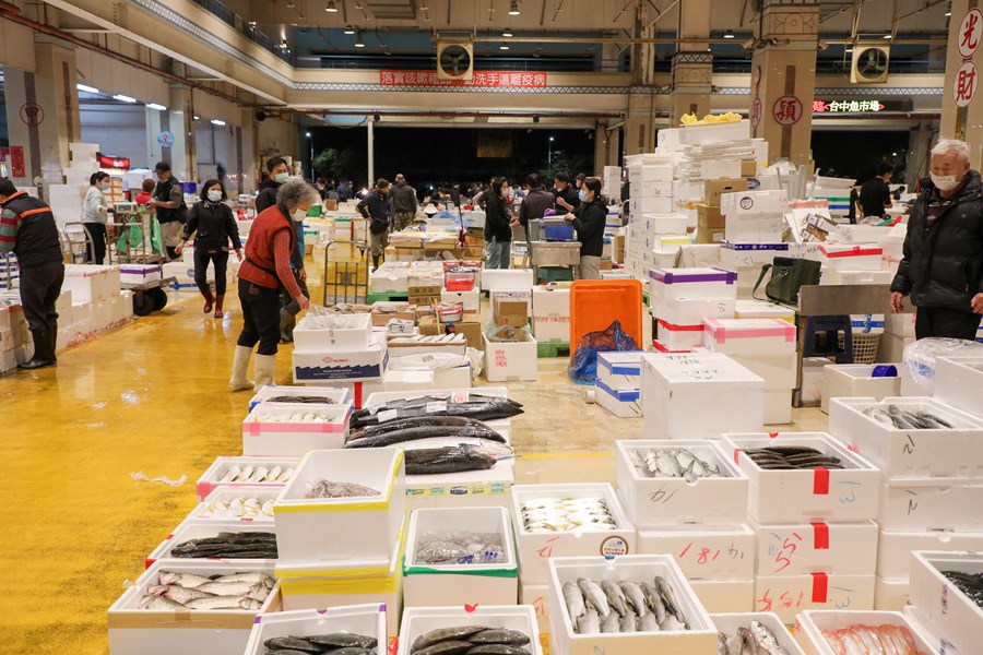 台中魚市場