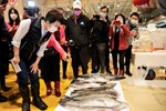 視察台中魚市場