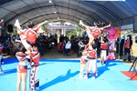 TSAI8719