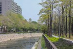 綠川水環境改善計畫(興大園道亮點河岸計畫)