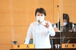 台中市議會第三屆第5次定期會市政總質詢
