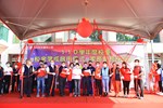 TSAI5786