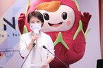 市政會議