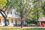 后里馬場暨花舞館開園活動