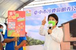 TSAI2941