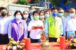 TSAI2977