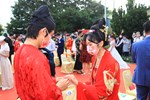TSAI6982
