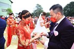 TSAI6988
