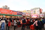TSAI7335