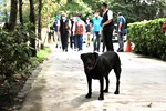 LINE_ALBUM_慰勉警察與商家互動_220908_0_調整大小