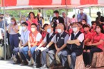 ALEN0994