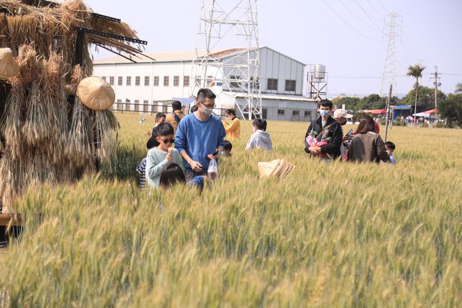 112年度大雅區小麥產業文化節『兔躍麥豐．卯起來玩』台中市農特產品展售暨農民節表揚大會活動TSAI (13)