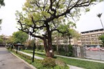 西區大同國小共善公園落成啟用典禮--TSAI (18)