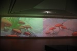 【阿罩霧神遊天地——藝術．科技展】開幕記者會--TSAI (22)