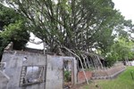 盧市長開箱介紹國漫館基地--TSAI (83)