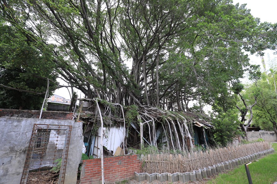 盧市長開箱介紹國漫館基地--TSAI (86)