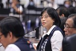 市政會議--TSAI (29)