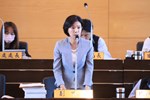 臺中市議會第四屆第二次定期會第四次會議--TSAI (17)