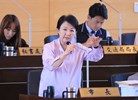 臺中市議會第四屆第二次定期會第四次會議--TSAI (3)