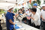 2023「台中市民野餐日」屯-坪林森林公園 (16)